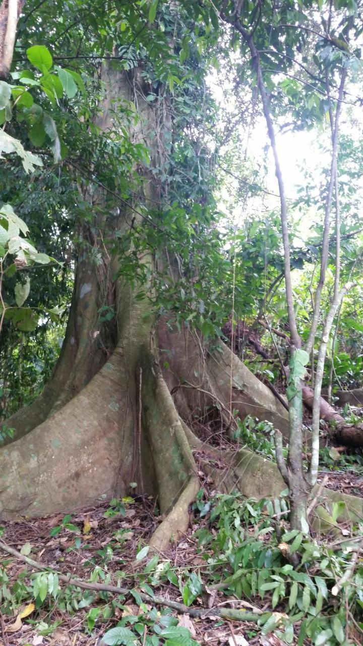Panama Eco Resort Tierra Oscura Luaran gambar