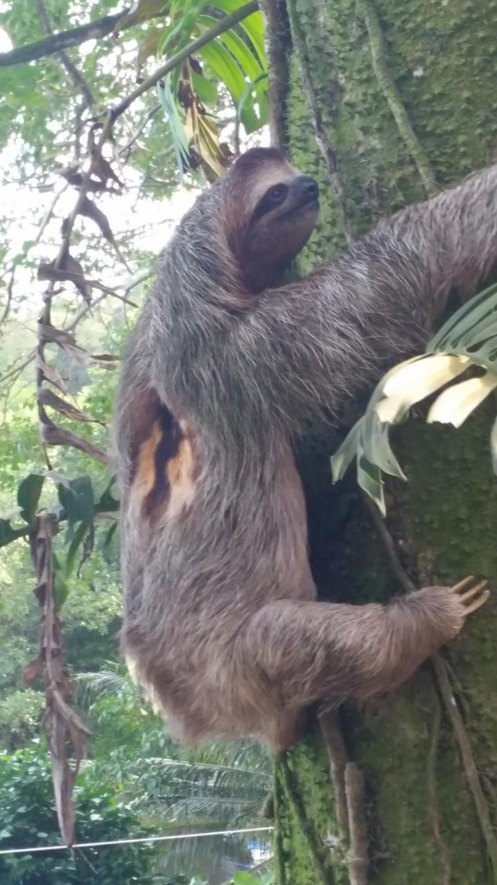 Panama Eco Resort Tierra Oscura Luaran gambar