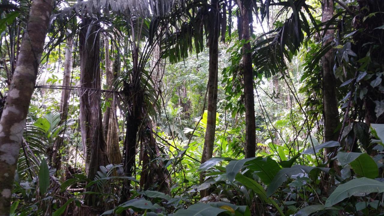 Panama Eco Resort Tierra Oscura Luaran gambar